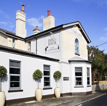 The Dog And Duck Suffolk Woodbridge Exterior foto
